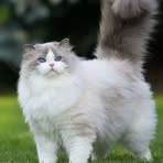 Profile Picture of Gollin Lopez (@gollin.lopez.2025) on Facebook