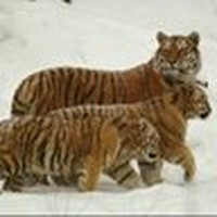 Profile Picture of John Hockin (@john-hockin-4) on Quora