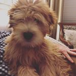 Profile Picture of Chad Burns (@deeaychay) on Instagram