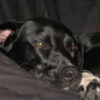 Profile Picture of Kyle Kimber (@kyle-kimber-1) on Quora