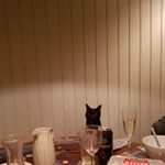 Richard Friend - Instagram Profile Picture of Richard Friend (@im.in.the.shed) on Instagram