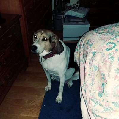 Profile Picture of Doris Dickson (@dorisjdickson) on Twitter