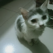 Profile Picture of Samiha Chowdhury (@samihachowdhury7754) on Youtube