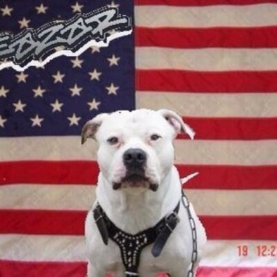 Profile Picture of Gene Tuck (@geneiyus) on Twitter