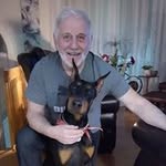 Profile Picture of Daniel Baillargeon (@baillargeondaniel) on Instagram