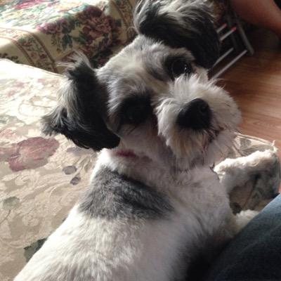 Profile Picture of James M Kraft, Jr (@Jamesmkraftjr) on Twitter