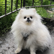 Jace Nodtvedt - Youtube Profile Picture of Jace Nodtvedt (@jacenodtvedt4934) on Youtube