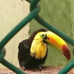 Profile Picture of Rogelio Rangel (@rogelio.rangel.1048) on Instagram