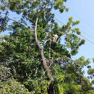 Profile Picture of J Badillo Badillo (@badillo.mendoza.5) on Facebook