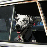 Profile Picture of Jim Knowles (@jim knowles) on Flickr