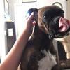 Profile Picture of Blake Penner (@@blakepenner0) on Tiktok