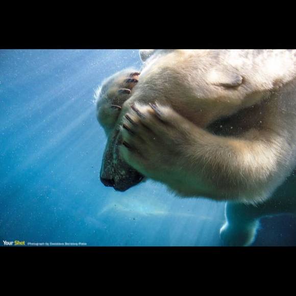 Profile Picture of Yan Zhang (@yan_zhang) on Poshmark