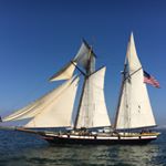 Profile Picture of John P. Foster (@johnp._foster) on Instagram