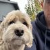 Profile Picture of Dustin Evans (@dustin.evans.73) on Facebook