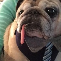 Profile Picture of Gina Lugo  (@gina-lugo-16) on Quora