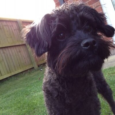 Profile Picture of Mike Burley (@mike_burley) on Twitter