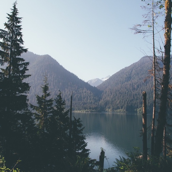 Profile Picture of J Bailey (@jorddanbailey) on Poshmark