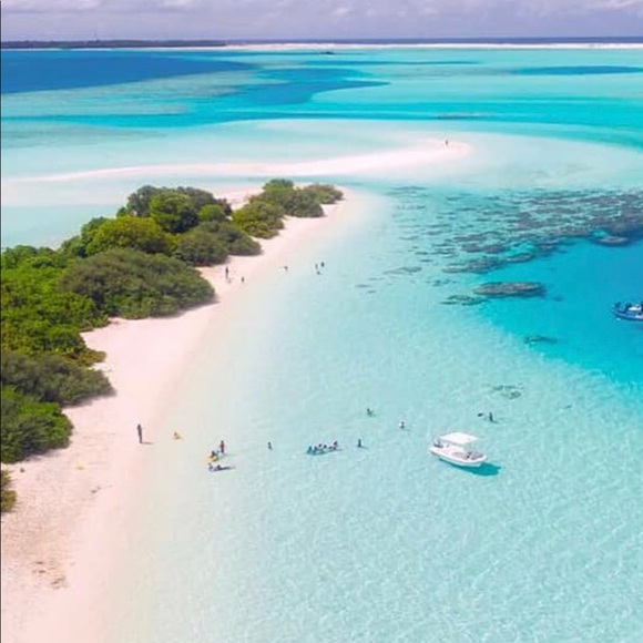 Profile Picture of Chloe Zheng (@chloezheng284) on Poshmark