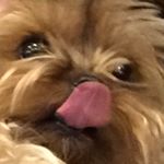 Profile Picture of Bucksteg-Neuhoff, The (@ulricke_bn) on Instagram