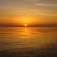 Profile Picture of Roy Harris (@roy-harris-39) on Quora