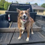 Profile Picture of Brian Wisner (@brian.wisner.3) on Facebook