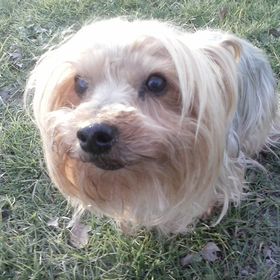 Profile Picture of francoise fournier (@francoisepk) on Pinterest