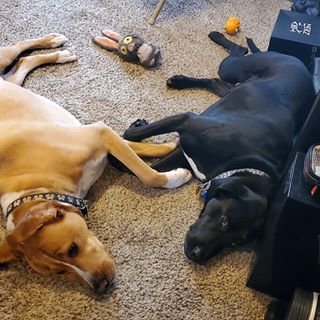 Profile Picture of Kevin Streisant (@kevin.streisant) on Facebook