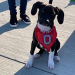 Profile Picture of John Harlow (@harlow2977) on Instagram