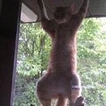 Profile Picture of John Kantorowski (@johnkantorowski) on Instagram