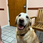 Profile Picture of Mindy Richardson-Wiley (@miniree9) on Instagram