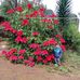 Profile Picture of Rosa Almanza (@rosa.almanza.982) on Facebook