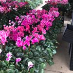 Profile Picture of Brett Gillard (@gillardbrett) on Instagram