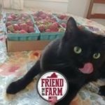 Profile Picture of Derek Mauck (@mauck.derek) on Instagram