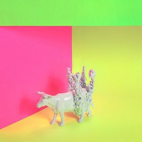 Profile Picture of lily song (@garnettlili) on Pinterest