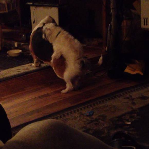 Profile Picture of Matt Buenting (@buentingm) on Poshmark