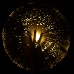 Profile Picture of Juan Collova (@yojanpic) on Flickr