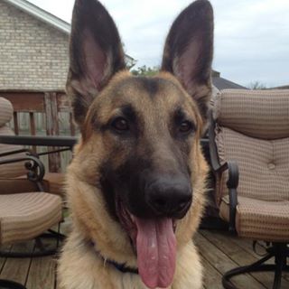 Profile Picture of Matt Blevins (@matt.blevins.5836) on Facebook