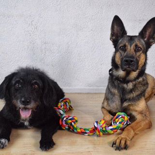 Profile Picture of Jolanda Straatman Comans (@jolanda.comans) on Facebook