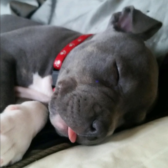 Profile Picture of Kera Fensterer (@kerafensterer) on Poshmark