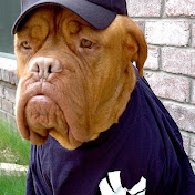 Profile Picture of Peter Dawson (@Toledoisdabomb) on Youtube