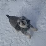 Profile Picture of Kevin Balinski (@kevin.balinski.2025) on Facebook