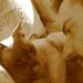 Profile Picture of Randy Kline (@randall311) on Pinterest