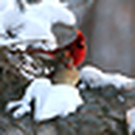 Profile Picture of Georgia Degitz (@meme missouri) on Flickr
