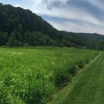 Profile Picture of Tom Corley (@ace5_photos) on Instagram