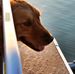 Profile Picture of Cassie Dudek (@cassie.dudek.3) on Facebook