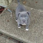 Profile Picture of Randy Caruthers (@randycaruthers) on Instagram