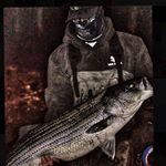 Profile Picture of Matthew Amelio (@the_reel_meal) on Instagram