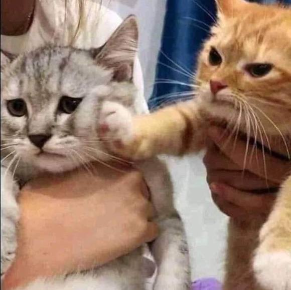 Profile Picture of Jason Knowlton (@powerjay) on Poshmark