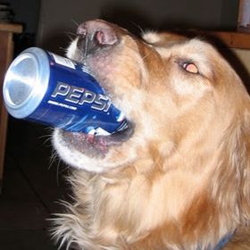 Profile Picture of Christopher Papadakis (@christopherpapadakis) on Pinterest