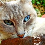 Profile Picture of David Barreau (@davidou.24) on Instagram